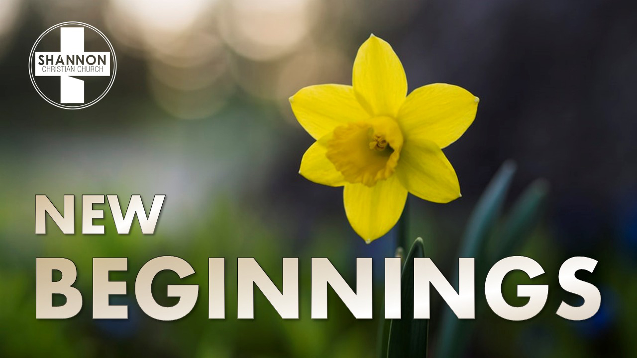 NEW BEGINNINGS